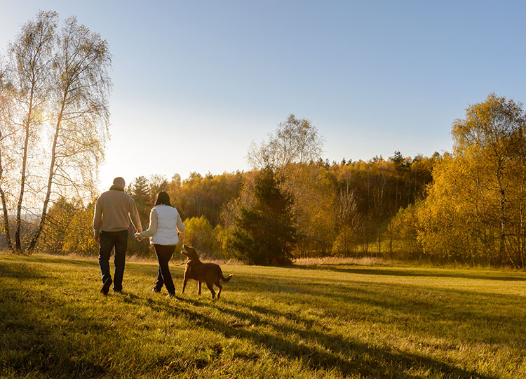 Walking through a field