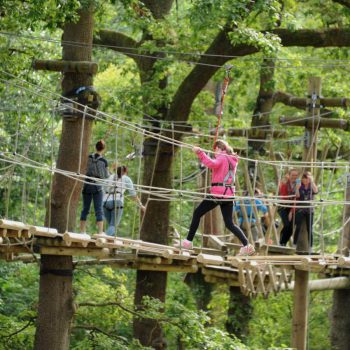 Brockhole Tree Top Nets