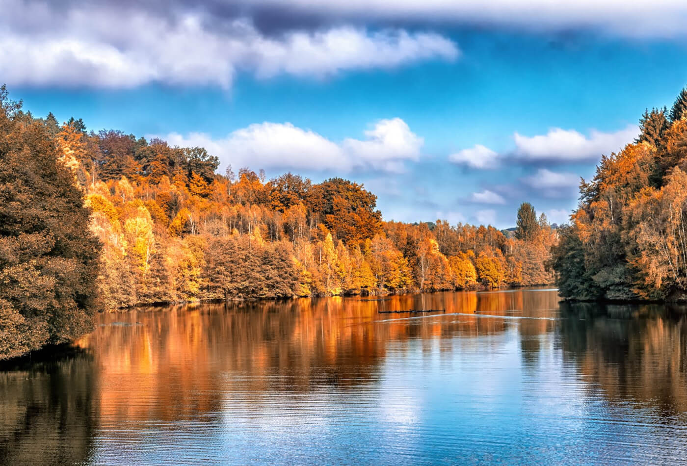 Autumn trees coloured orange on the shores of a lake