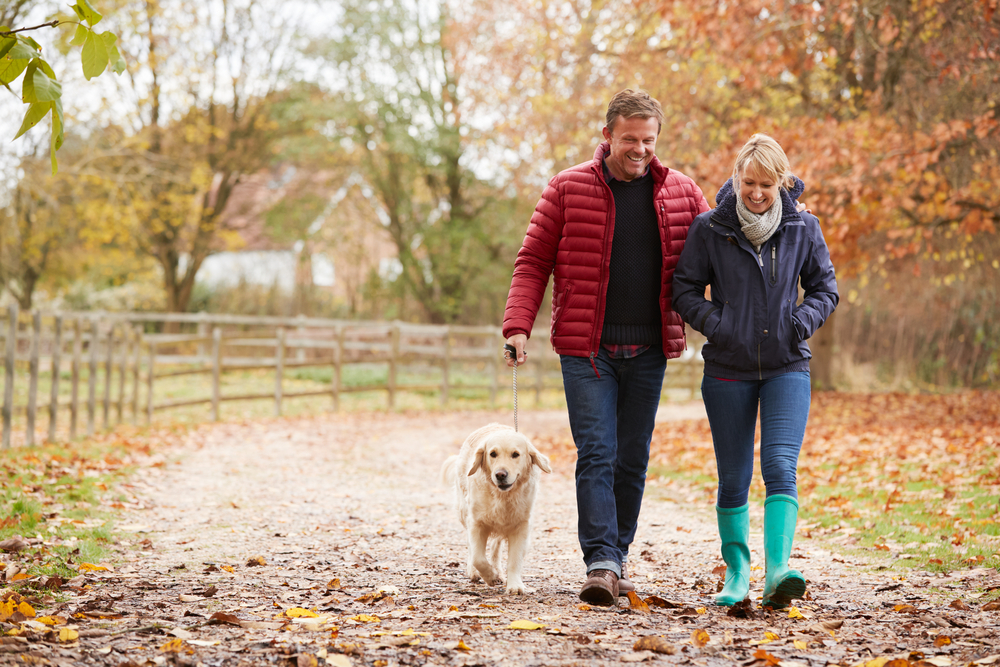 Dog walk with couple