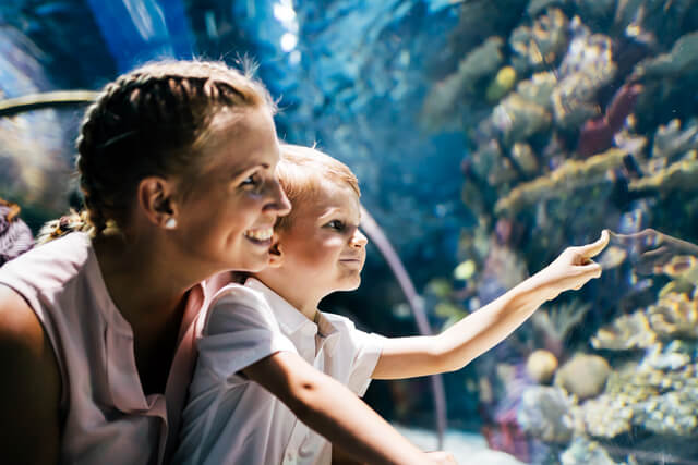 Mother and son watching sea life in oceanarium