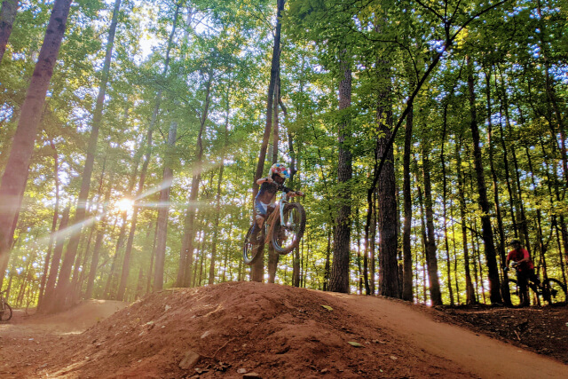 A child riding a bike on a track in the forest