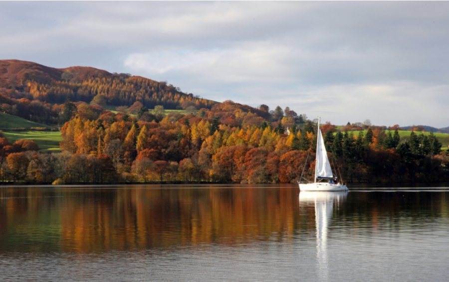 Autumn trees across the lake