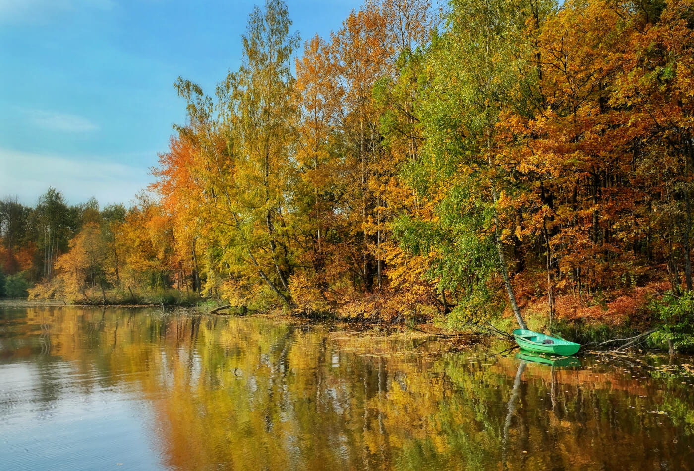 Autumn trees on the lakeside