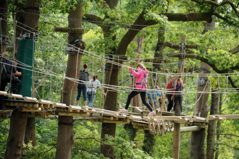 Brockhole Tree Top Nets