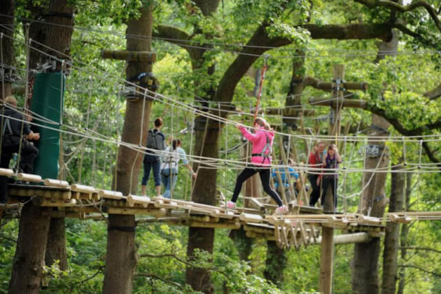 Children following a wooden bridge at a treetop adventure course 