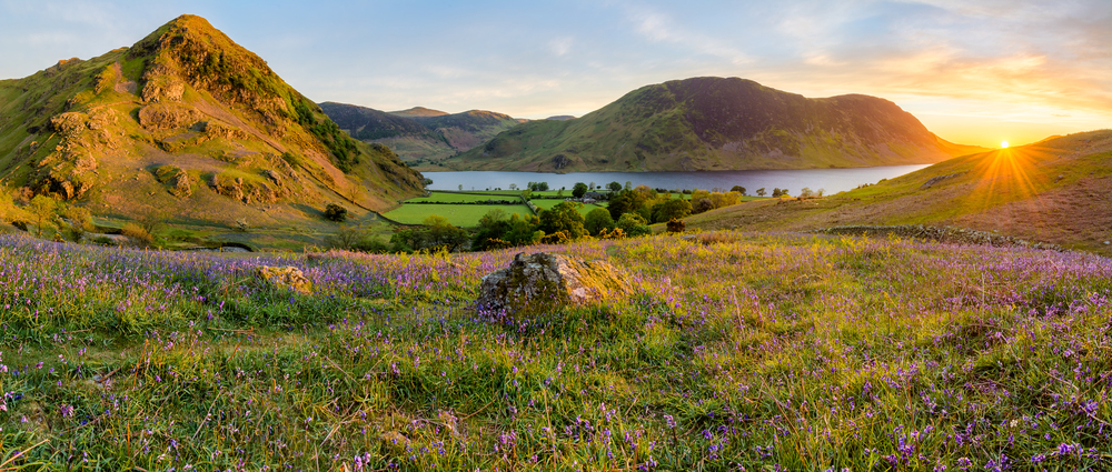 Bluebells Lake District