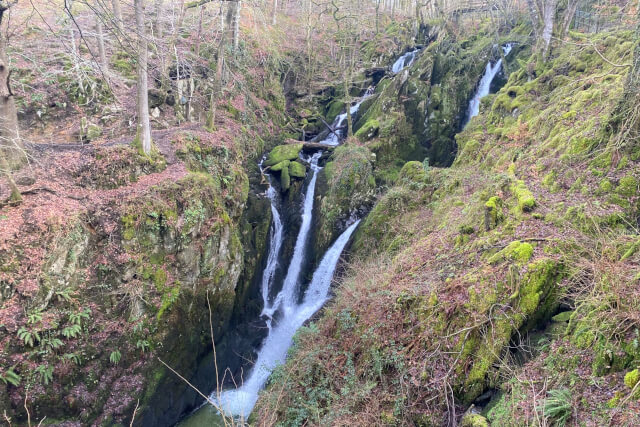 A side shot of Stock Ghyll Force tumbling through the green woodland in Ambleside
