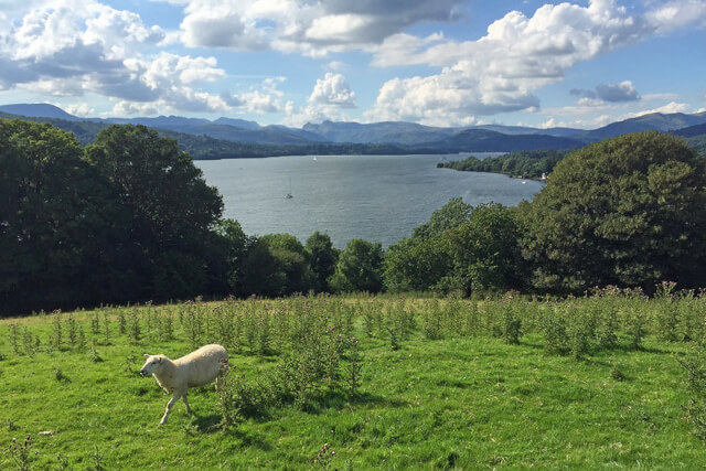 View of Lake Windermere from Queen Adelaides Hill