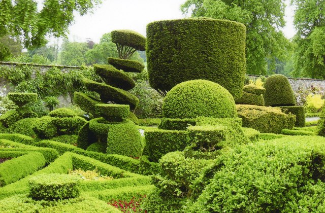 Topiary Garden at Levens Hall