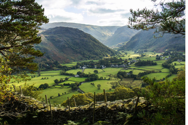 View from Castle Crag to Borrowdale